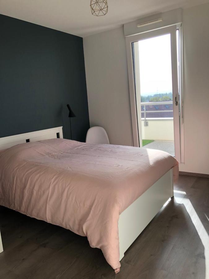 La Terrasse Appartement Straatsburg Buitenkant foto